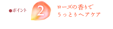 �|�C���g�Q ���[�Y�̍���ł����Ƃ�w�A�P�A