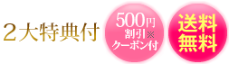 2����T�t 500�~�������N�[�|���t ��������