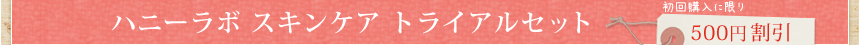 �n�j�[���{ �X�L���P�A �g���C�A���Z�b�g