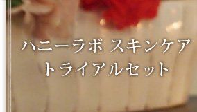 ハニーラボ スキンケア トライアルセット