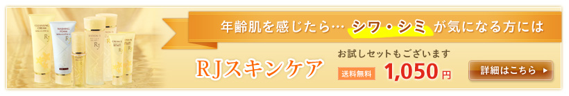 RJ�X�L���P�A�@�������Z�b�g�@��������1,050�~