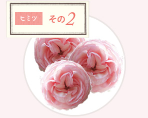 ヒミツその2
