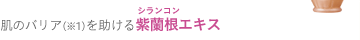 ���̃o���A(��1)�������鎇�����G�L�X
