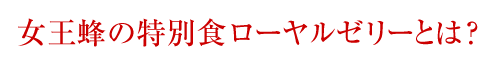 �����I�̓��ʐH���[�����[���[�Ƃ́H