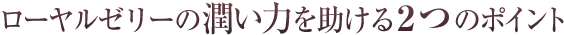 ���[�����[���[�̏����͂�������Q�̃|�C���g