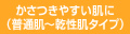 �������₷�����Ɂi���ʔ��`�������^�C�v�j