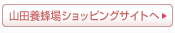 �R�c�{�I��V���b�s���O�T�C�g��