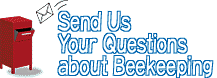 Send Us Your Questions about Beekeeping