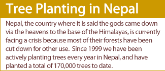 Nepal, the country where it is said the gods came down via the heavens to the base of the Himalayas, is currently facing a crisis because most of their forests have been cut down for other use.  Since 1999 we have been actively planting trees every year in Nepal, and have planted a total of 170,000 trees to date.