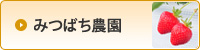 �݂΂��_��