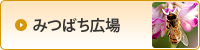 �݂΂��L��