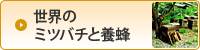 ���E�̃~�c�o�`�Ɨ{�I