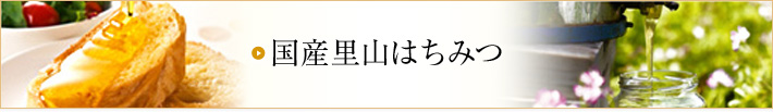 ���Y���R�͂��݂F���{�e�n�ō̂ꂽ�����Y�̂͂��݂�