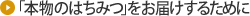 �u�{���̂͂��݂v�����͂����邽�߂�