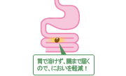 �݂ŗn�����A���܂œ͂��̂ŁA�ɂ������y���I