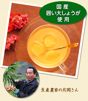 ���Y�͂��債�傤���g�p/���Y�_�Ƃ̕Љ�����