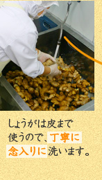 しょうがは皮まで
