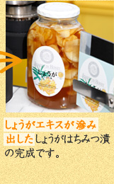しょうがエキスが滲み