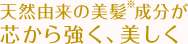 �V�R�R���̔������������c���狭���A������