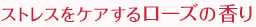 �X�g���X���P�A���郍�[�Y�̍���