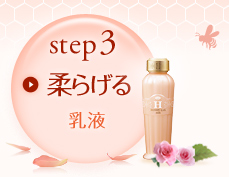 STEP3 �_�炰����t