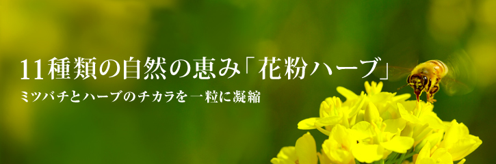 ミツバチと11種類の自然の恵み「花粉ハーブ」 ミツバチとハーブのチカラを一粒に凝縮