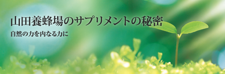 �R�c�{�I��́u�T�v�������g�v�̔閧�@���R�̗͂���Ȃ�͂�