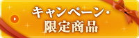 �L�����y�[���E���菤�i