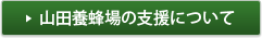 �R�c�{�I��̎x���ɂ���