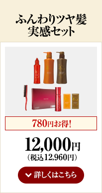 ӂcZbg 12,000~iō12,960~jڂ͂