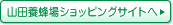 �R�c�{�I��V���b�s���O�T�C�g��