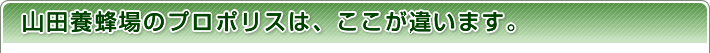 �R�c�{�I��̃v���|���X�́A�������Ⴂ�܂��B