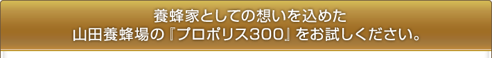 �{�I�ƂƂ��Ă̑z�������߂��R�c�{�I��́w�v���|���X300�x�����������������B