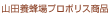 �R�c�{�I��v���|���X���i