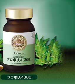 �v���|���X300