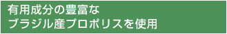 �L�p�����̖L�x�ȃu���W���Y�v���|���X���g�p