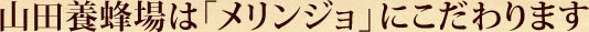 �R�c�{�I��́u�������W���v�ɂ������܂�