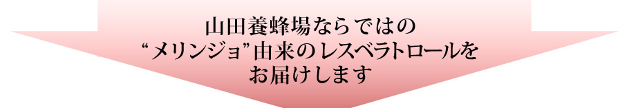 �R�c�{�I��Ȃ�ł͂́g�������W���h�R���̃��X�x���g���[�������͂����܂�