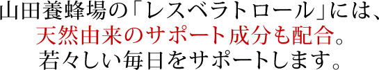 �R�c�{�I��́u���X�x���g���[���v�ɂ́A�V�R�R���̃T�|�[�g�������z���B��X�����������T�|�[�g���܂��B