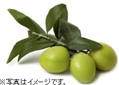 �I���[�u