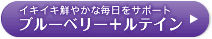 �N���A�Ȗ������T�|�[�g �r���x���[