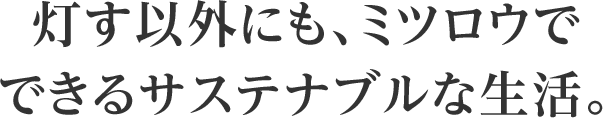 �����ȊO�ɂ��A�~�c���E�łł���T�X�e�i�u���Ȑ����B