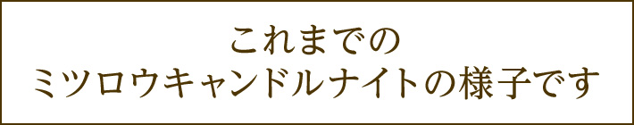 ܂ł̃~cELhiCg̗lqł