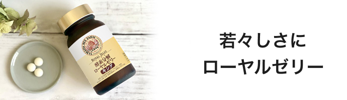 ��X�����Ƀ��[�����[���[