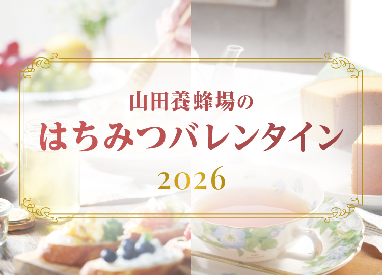 �R�c�{�I��̃o�����^�C���M�t�g HAPPY VALENTINE 2026