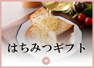 �͂��݂M�t�g