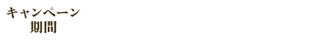 キャンペーン期間:2024年12月17日(火)まで※商品のお届けは12月26日(木)まで