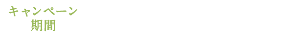 キャンペーン期間:2024年6月6日(木)まで※商品のお届けは6月14日(金)まで