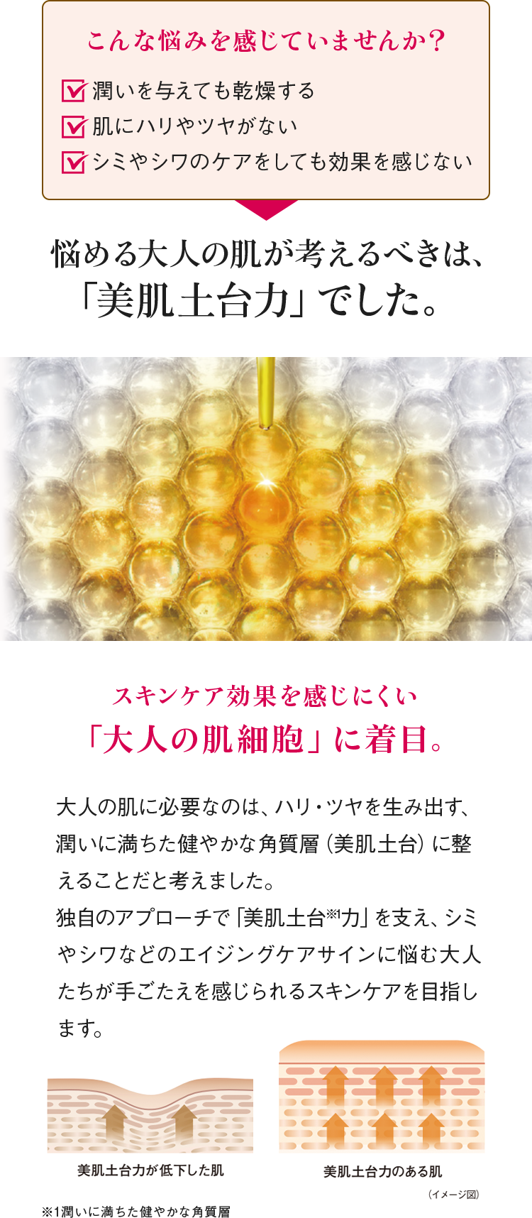 こんな悩みを感じていませんか?「1.潤いを与えても乾燥する 2.肌にハリやツヤがない 3.シミやシワのケアをしても効果を感じない」→悩める大人の肌が考えるべきは、「美肌土台力」でした。 スキンケア効果を感じにくい「大人の肌細胞」に着目。 大人の肌に必要なのは、ハリ・ツヤを生み出す、潤いに満ちた健やかな角質層(美肌土台)に整えることだと考えました。独自のアプローチで「美肌土台※1力」を支え、シミやシワなどのエイジングケアサインに悩む大人たちが手ごたえを感じられるスキンケアを目指します。 ※1潤いに満ちた健やかな