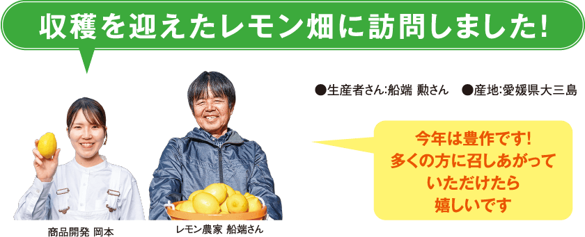 収穫を迎えたレモン畑に訪問しました!